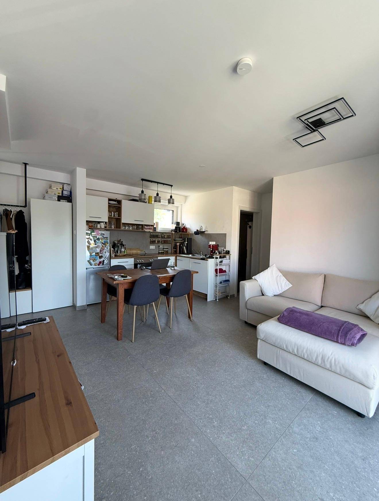 Geräumiger offener Wohnbereich mit Küche, Esstisch und Sofa in modernem Design.