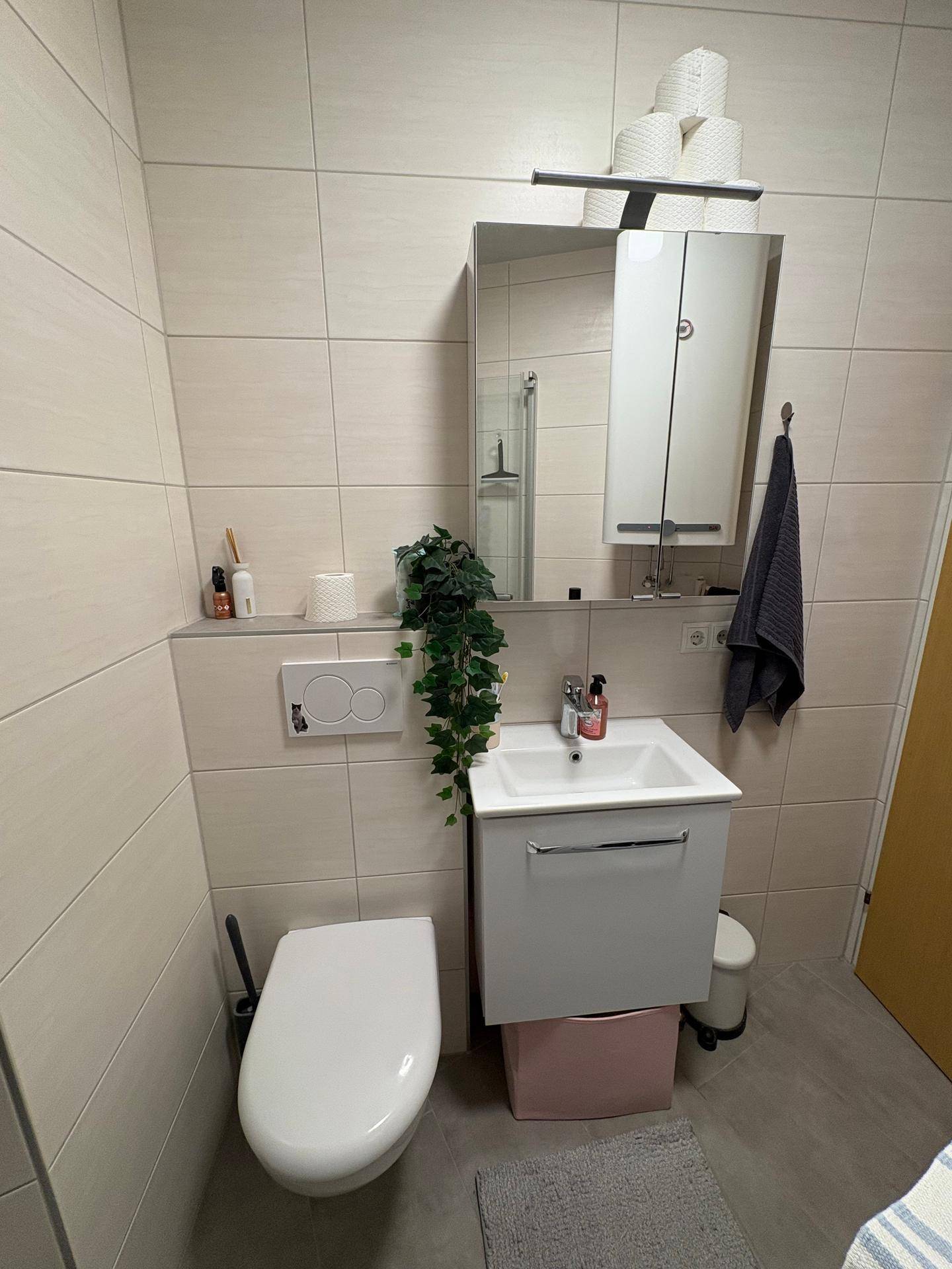 Helles Badezimmer mit wandhängendem WC, Waschbecken und Spiegelschrank.