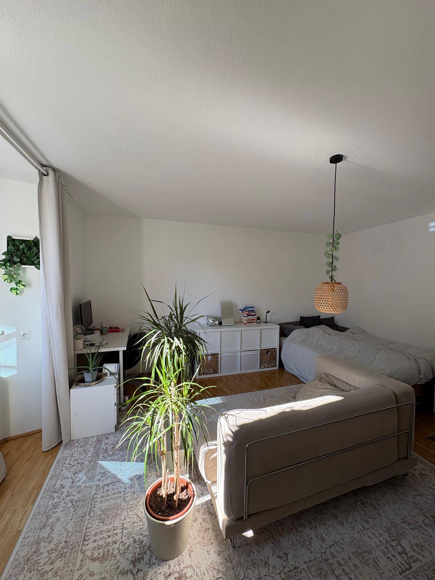 Heller Wohn- und Schlafbereich mit Sofa, Schreibtisch und Pflanzen, durchflutet von Tageslicht.
