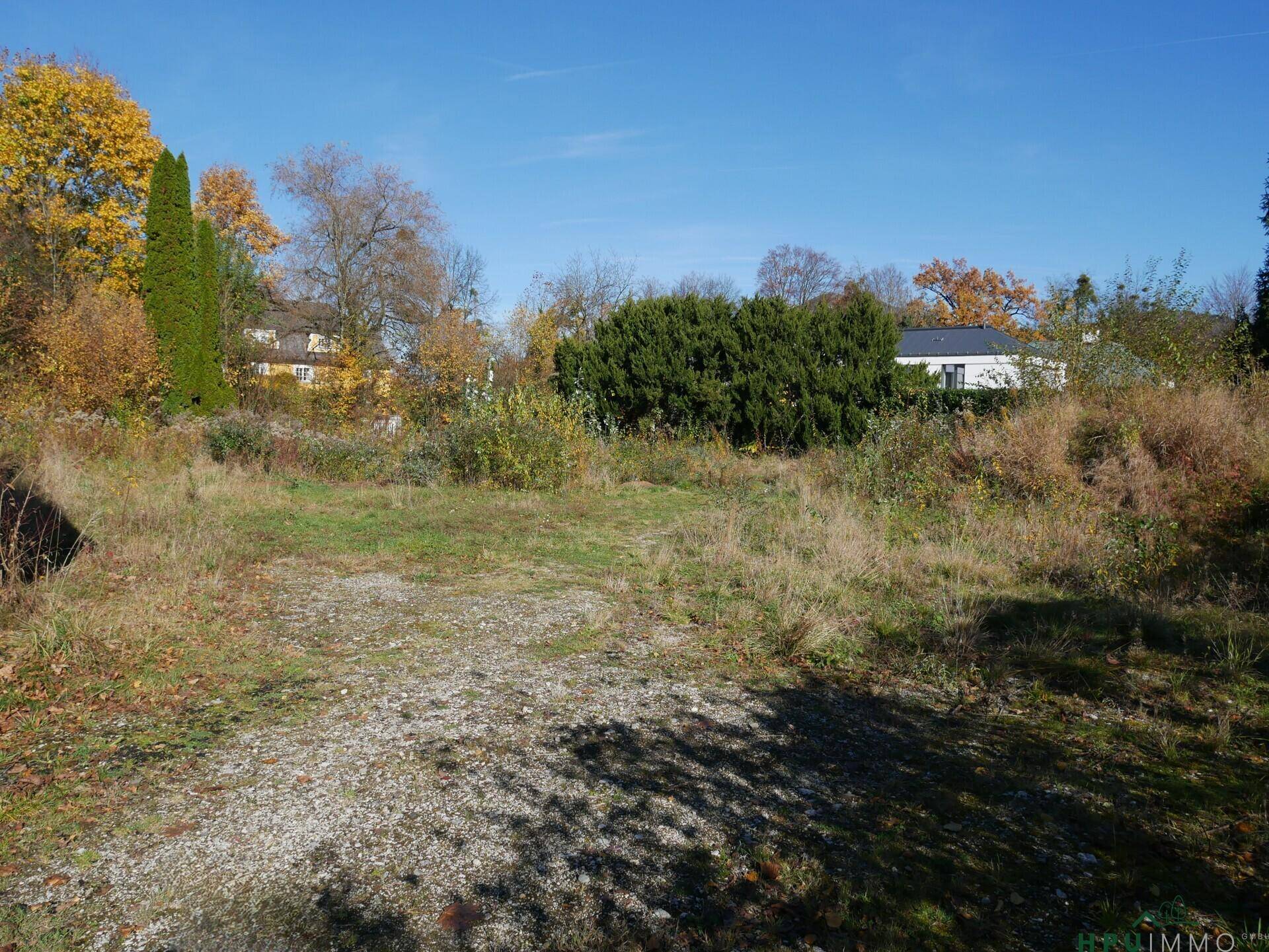 Unbebautes Grundstück mit natürlicher Vegetation und Blick auf umliegende Häuser und Bäume.
