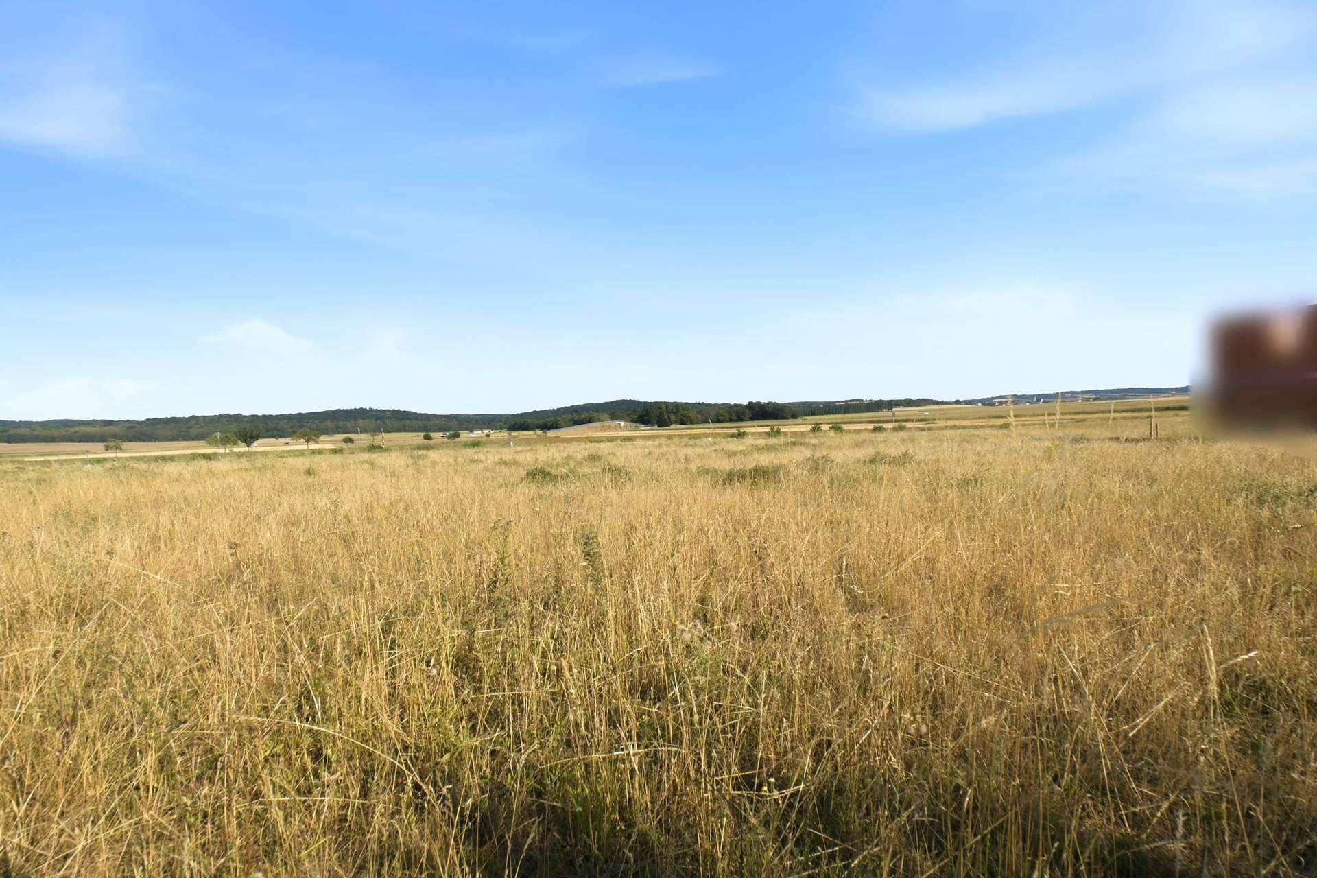 Weite Felder und Wiesen unter einem strahlend blauen Himmel, vermitteln ein Gefühl von Freiheit.