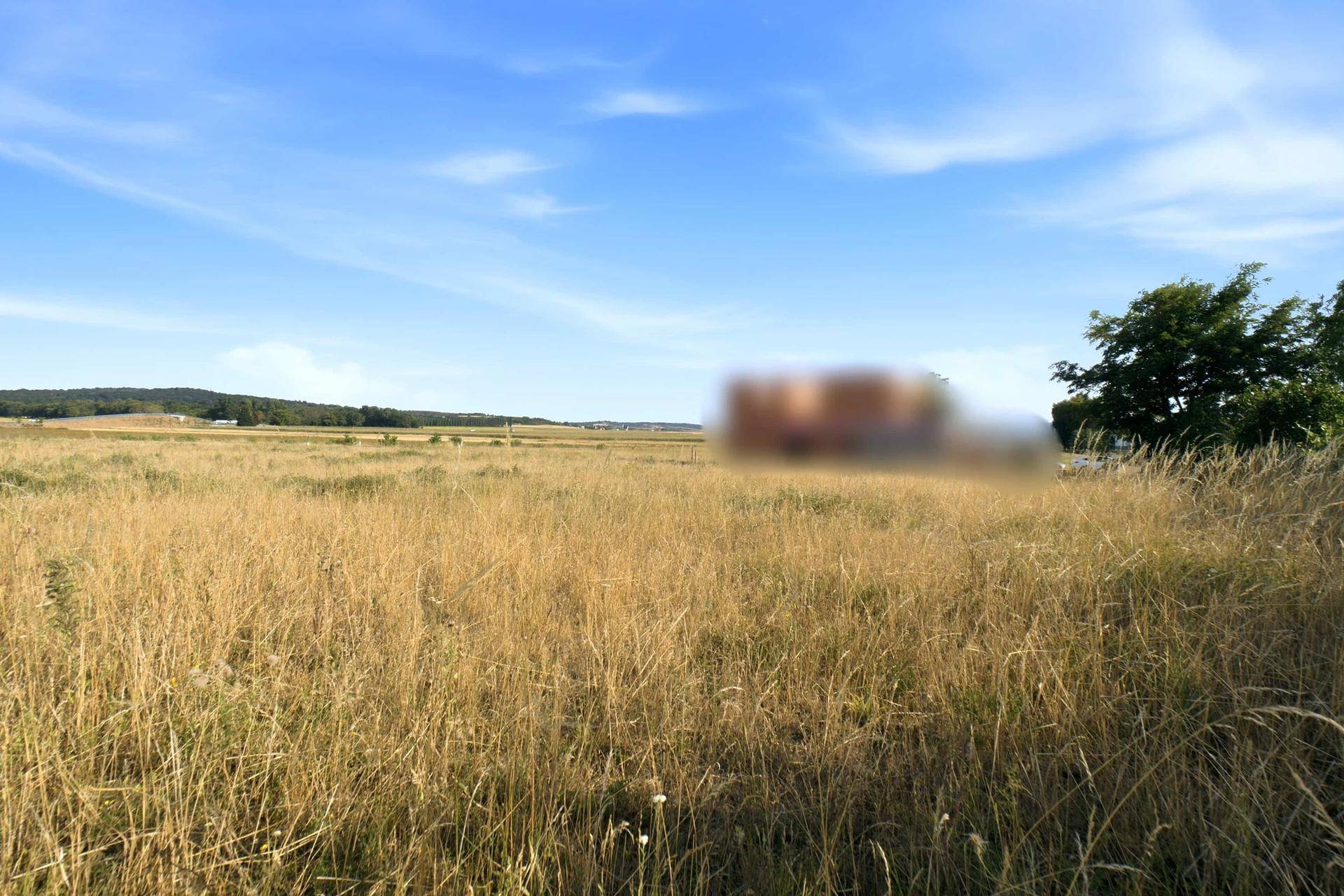 Weites, trockenes Feld unter blauem Himmel mit verschwommenen Gebäuden und Bäumen am Horizont.