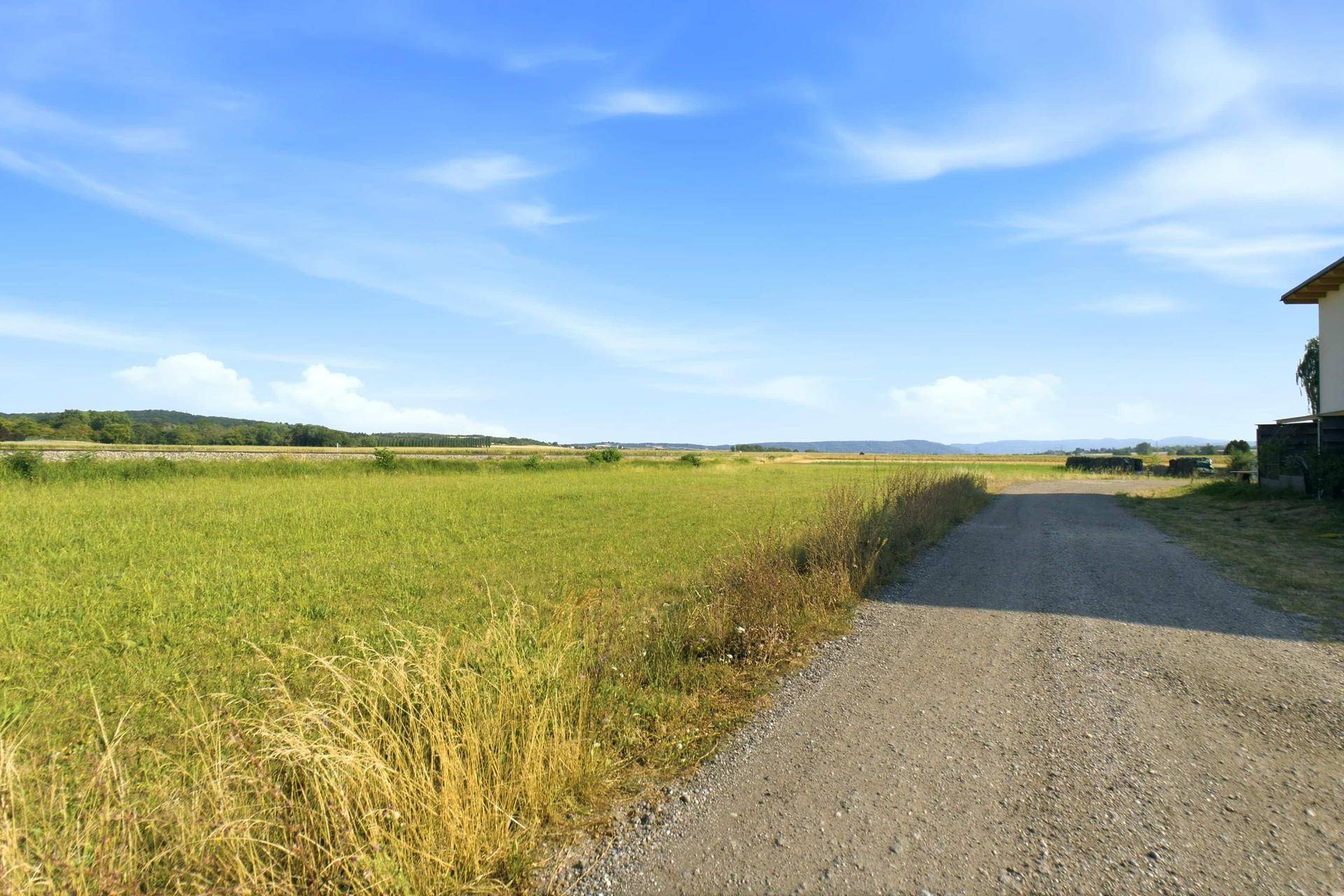 Weites Feld mit einem unbefestigten Weg und grünen Hügeln sowie Bäumen am Horizont unter blauem Himmel.