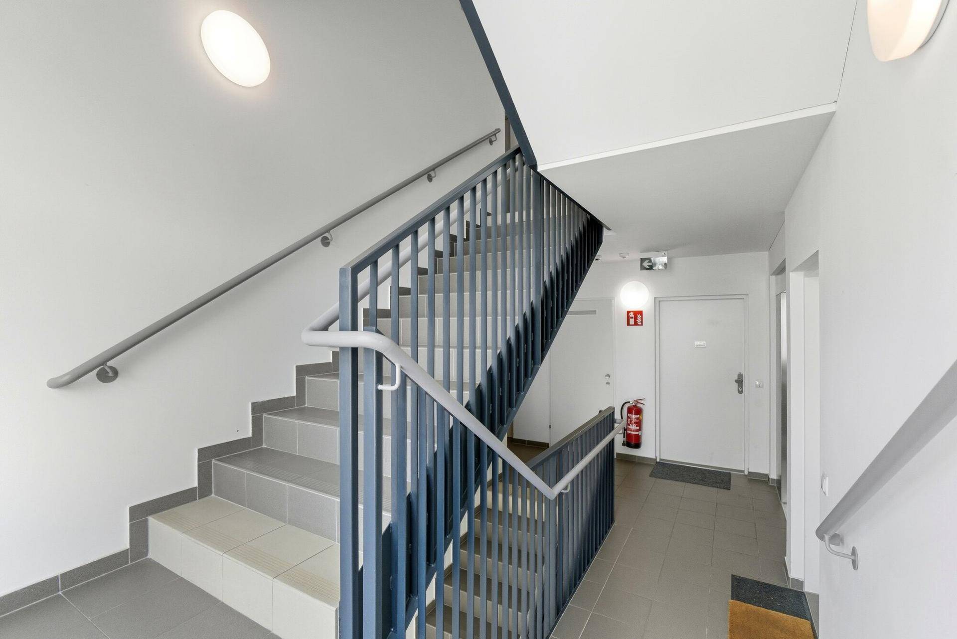 Helles Treppenhaus mit grauen Stufen und stabilem Geländer in einem Mehrfamilienhaus.