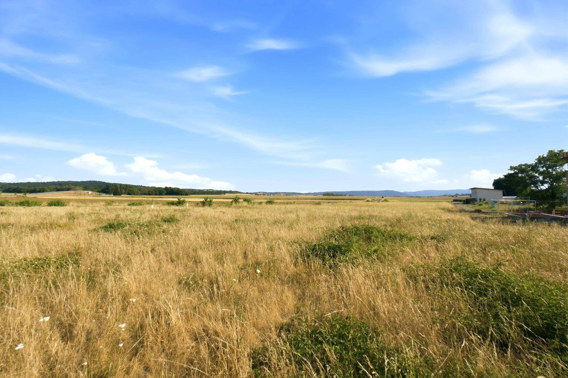 Weites, trockenes Feld unter blauem Himmel mit grünen Hügeln und einem verschwommenen Gebäude am Horizont.