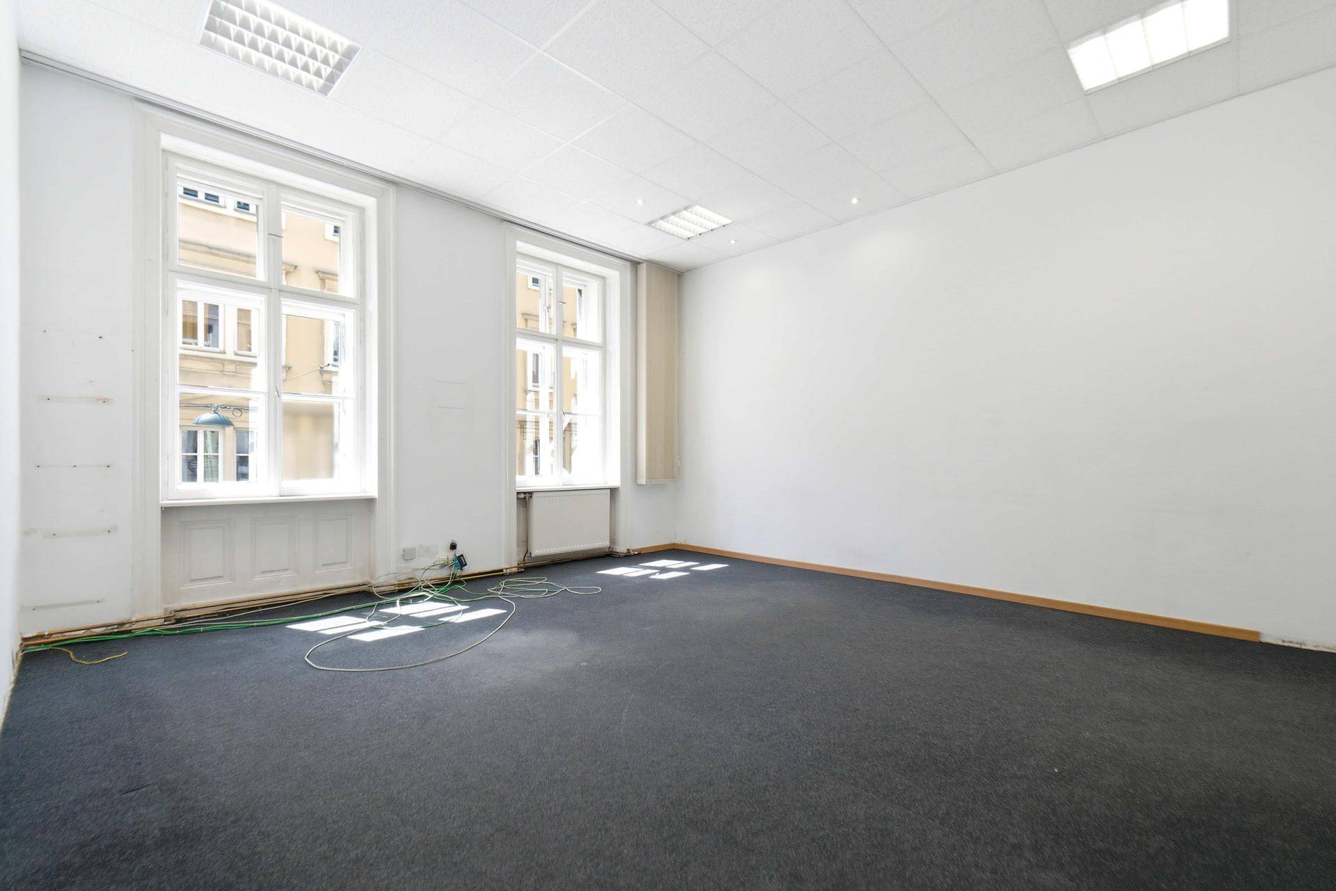 Geräumiger Raum mit dunklem Teppichboden und zwei großen Fenstern, bietet viel Tageslicht.