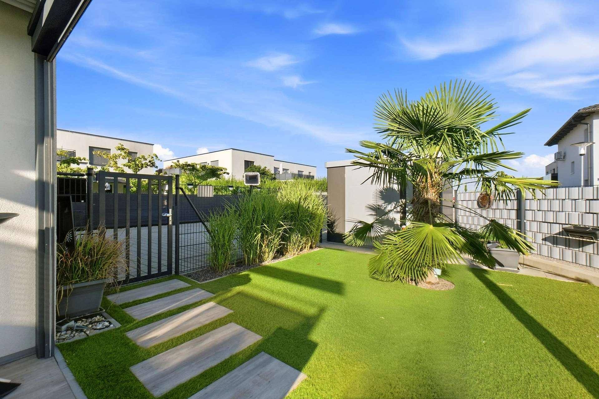 Gepflegter Gartenbereich mit Rasen, Palmen und modernen Trittplatten.