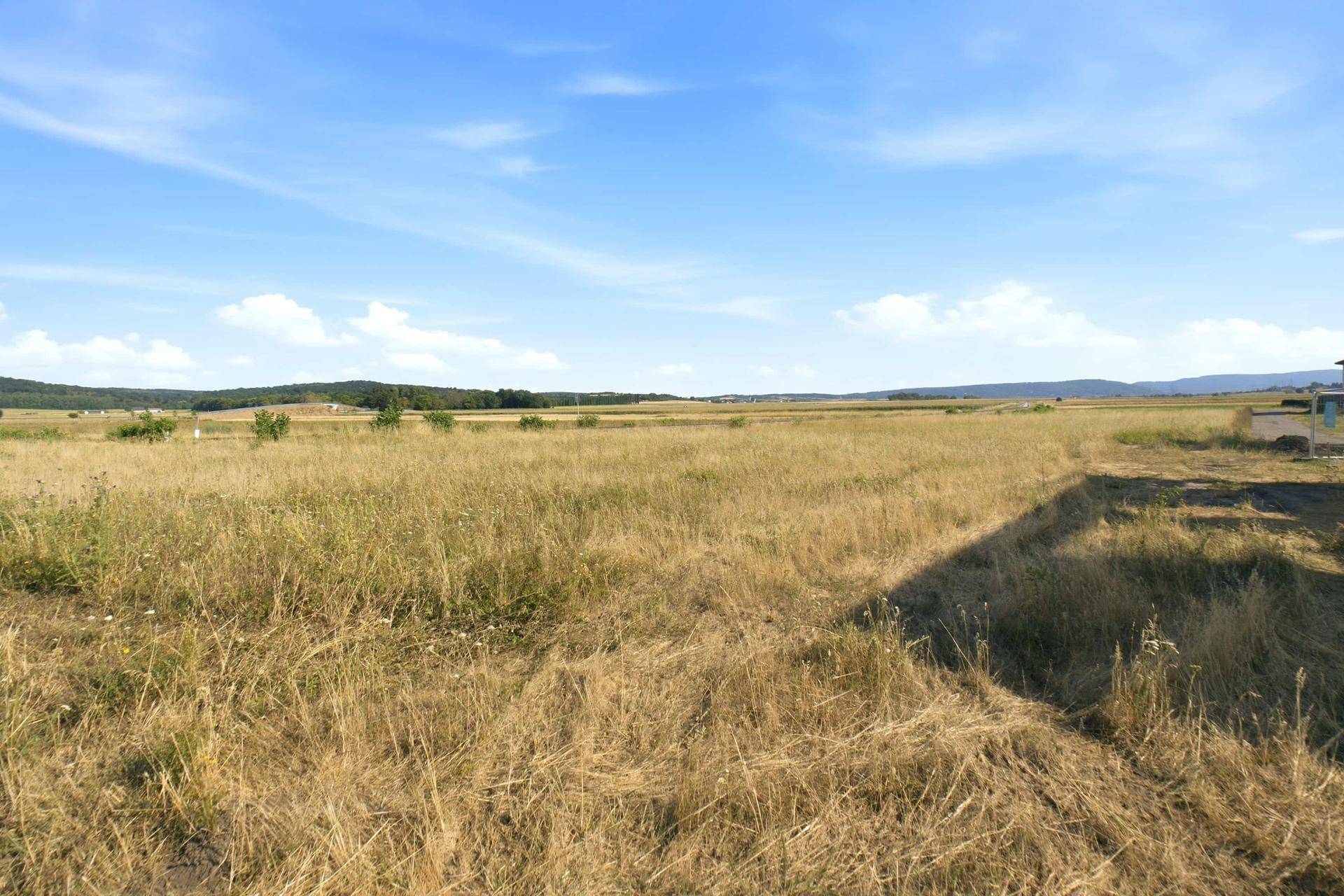 Weites, trockenes Feld unter blauem Himmel mit grünen Hügeln und Bäumen am Horizont.