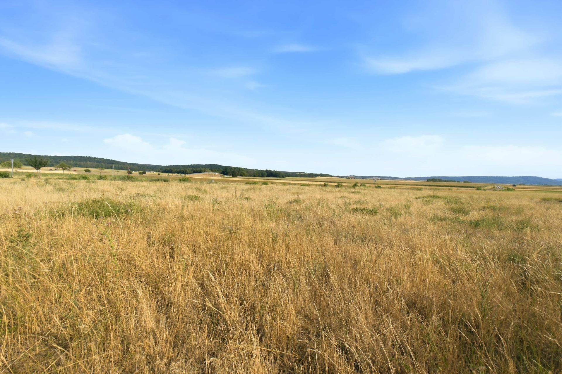 Weites, trockenes Feld unter blauem Himmel mit grünen Hügeln und Bäumen am Horizont.