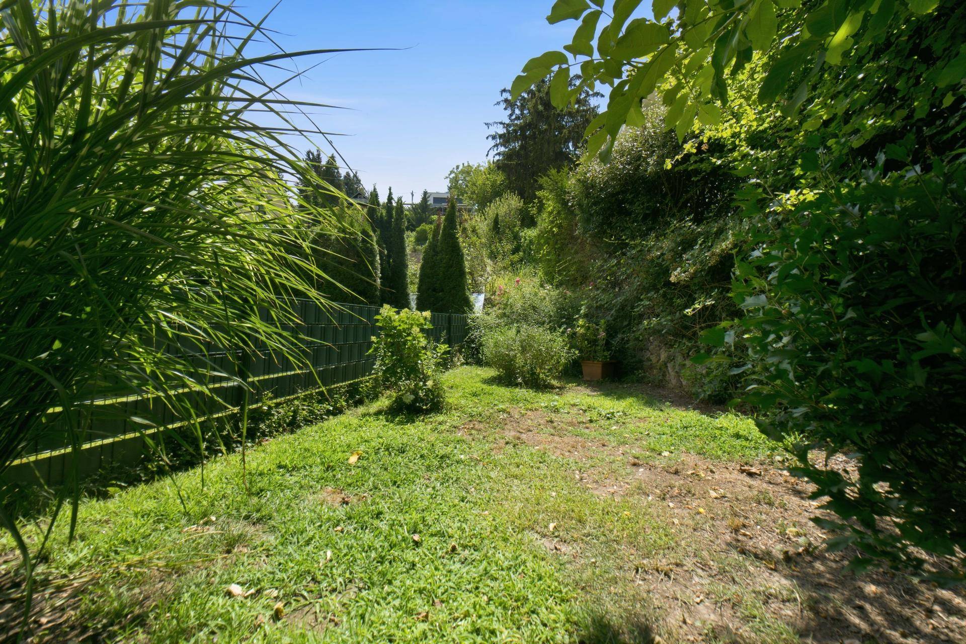 Naturbelassener Gartenbereich mit viel Grün und Bäumen, ideal zum Entspannen im Freien.