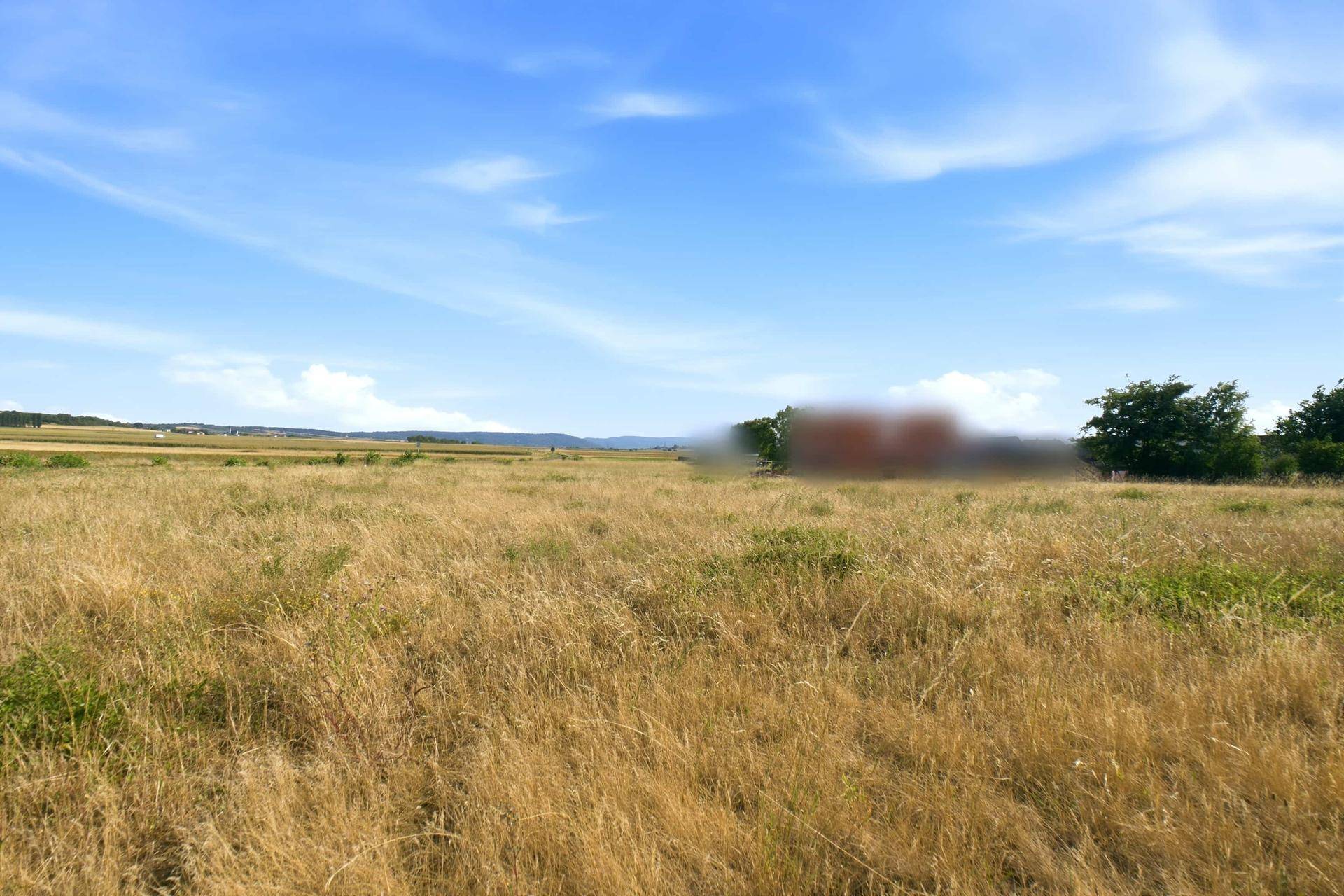 Weites, trockenes Feld unter blauem Himmel mit verschwommenen Gebäuden und Bäumen am Horizont.