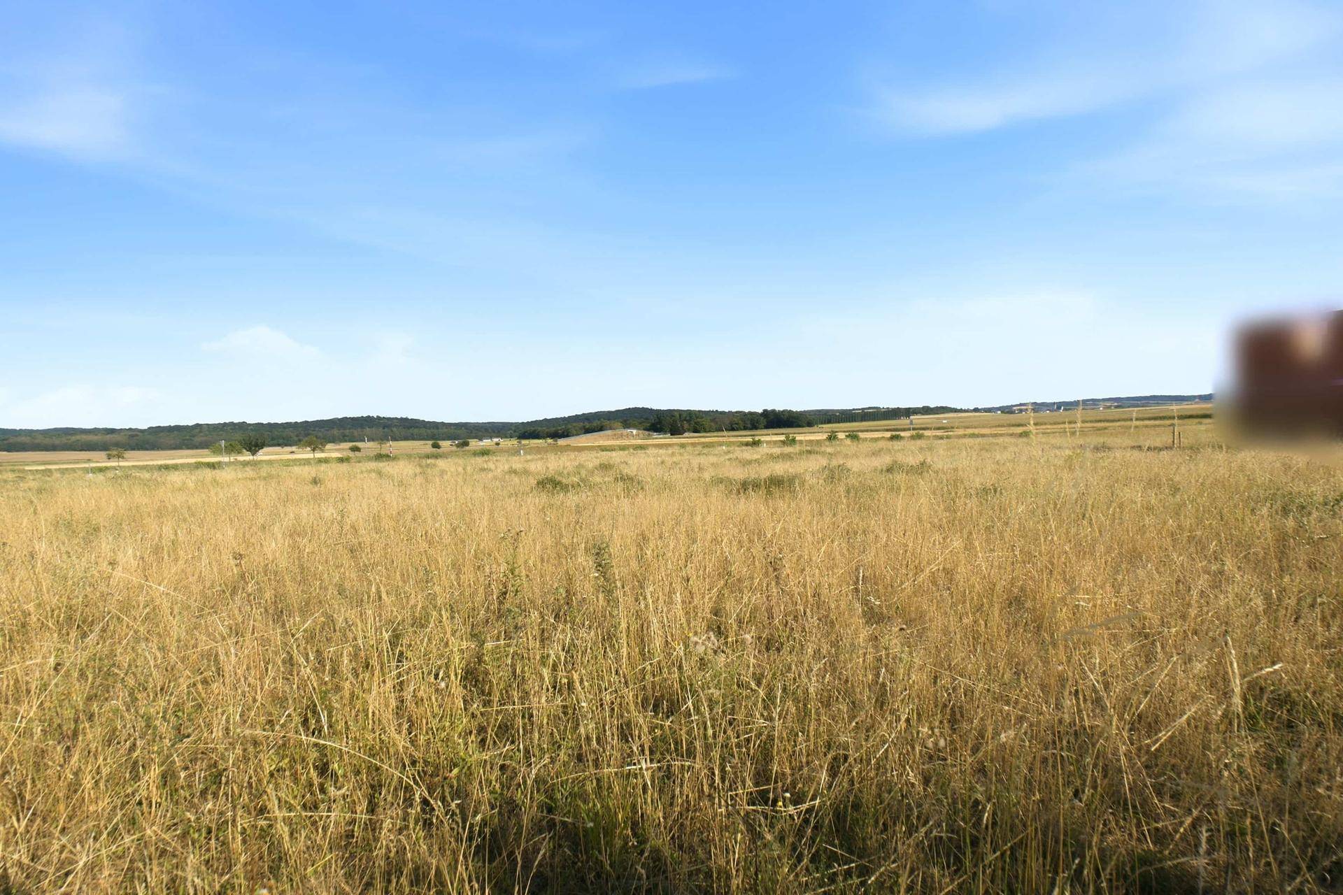 Weites, trockenes Feld unter blauem Himmel mit grünen Hügeln und Bäumen am Horizont.