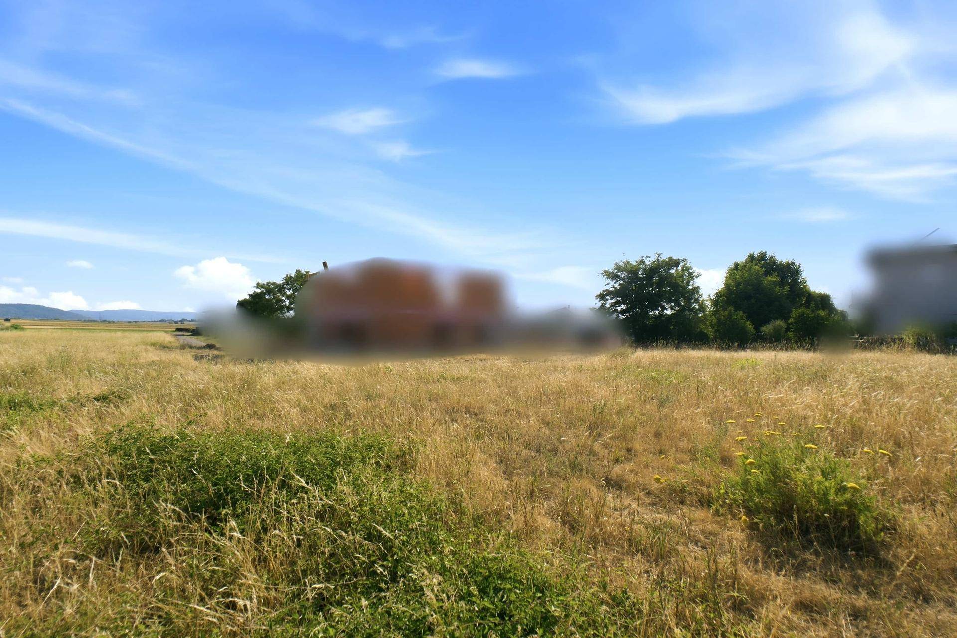 Weites, trockenes Feld unter blauem Himmel mit verschwommenen Gebäuden und Bäumen am Horizont.