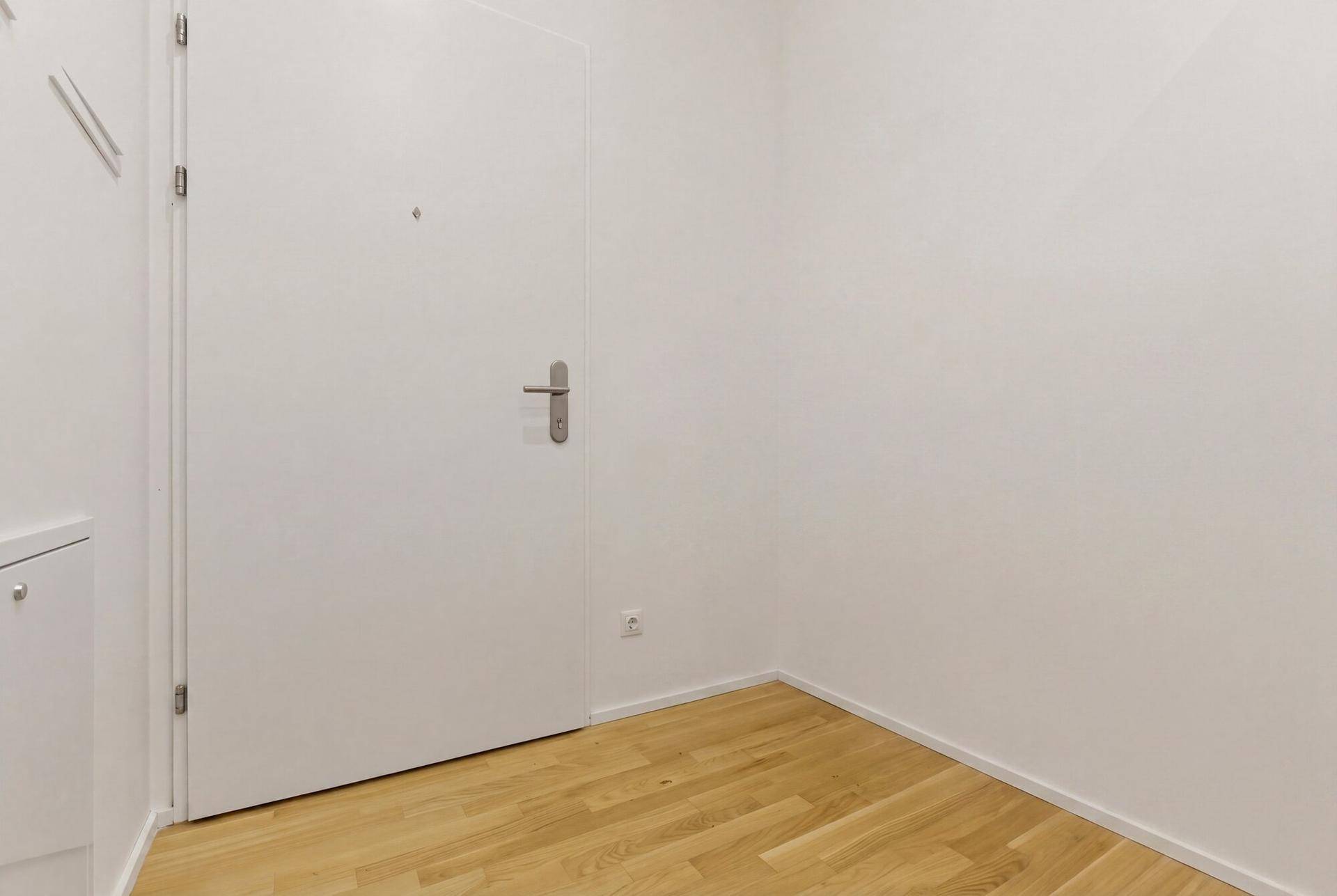 Eingangsbereich mit heller Wohnungstür und Parkettboden, bereit für individuelle Gestaltung.