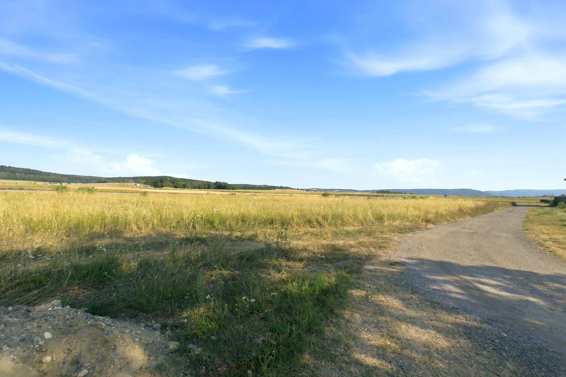 Weites Feld mit einem unbefestigten Weg und grünen Hügeln sowie Bäumen am Horizont unter blauem Himmel.