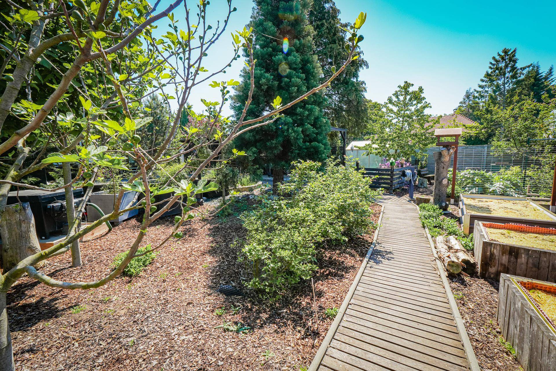 Garten