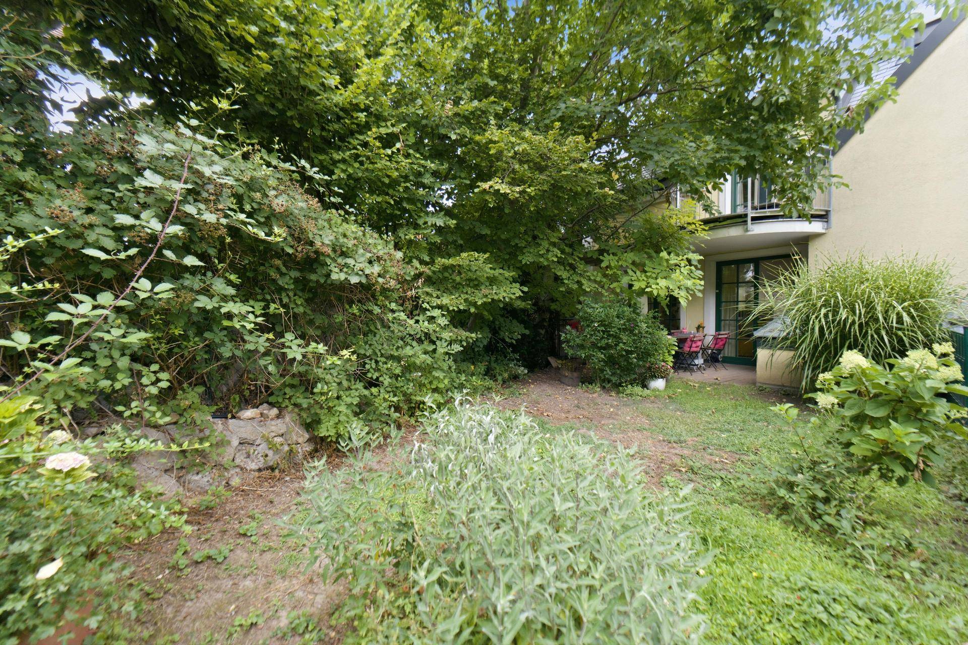 Grüner Gartenbereich mit üppiger Vegetation und kleiner Terrasse im Hintergrund.