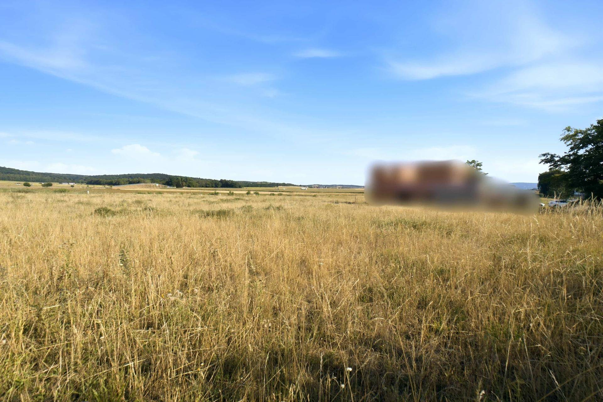 Weites, trockenes Feld unter blauem Himmel mit verschwommenen Gebäuden und Bäumen am Horizont.