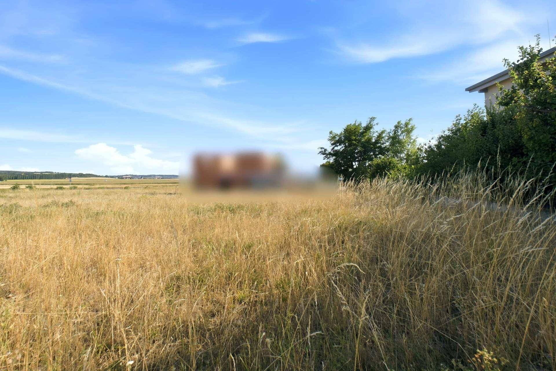 Weite Felder und Wiesen unter einem strahlend blauen Himmel, mit einem Gebäude am Horizont.