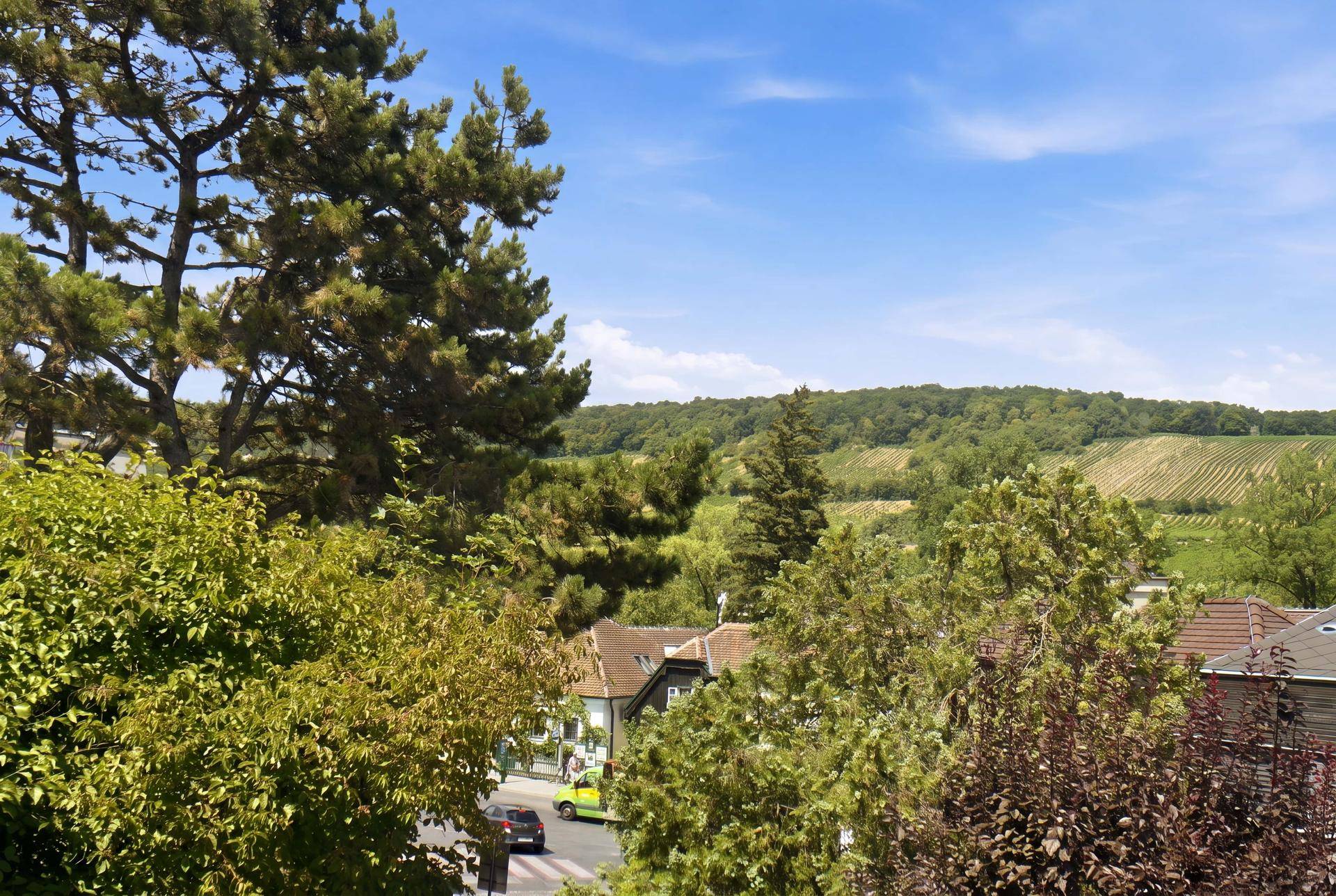 Malerischer Ausblick auf Weinberge und grüne Hügel unter blauem Himmel.