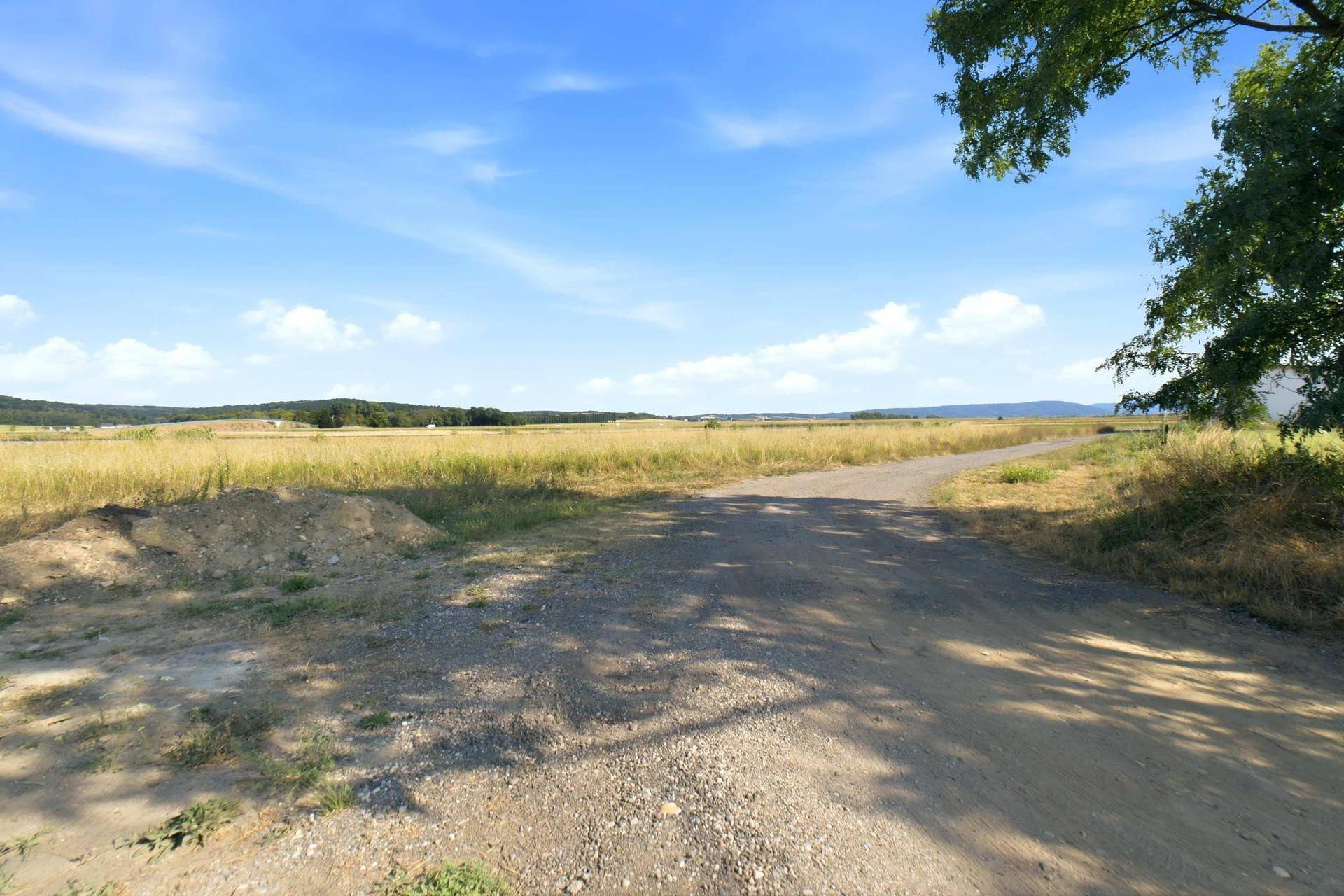 Feldweg führt durch eine weite Landschaft mit Feldern und Bäumen unter blauem Himmel.