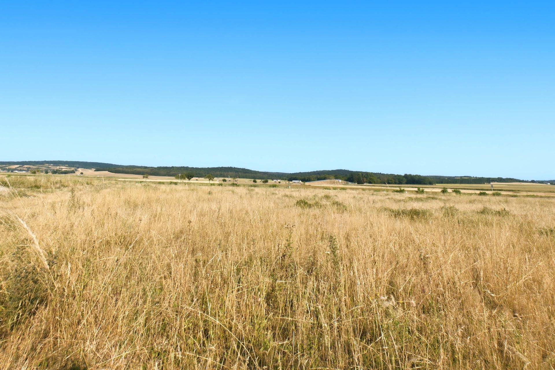 Weites Feld mit trockenem Gras unter blauem Himmel und hügeliger Landschaft im Hintergrund.