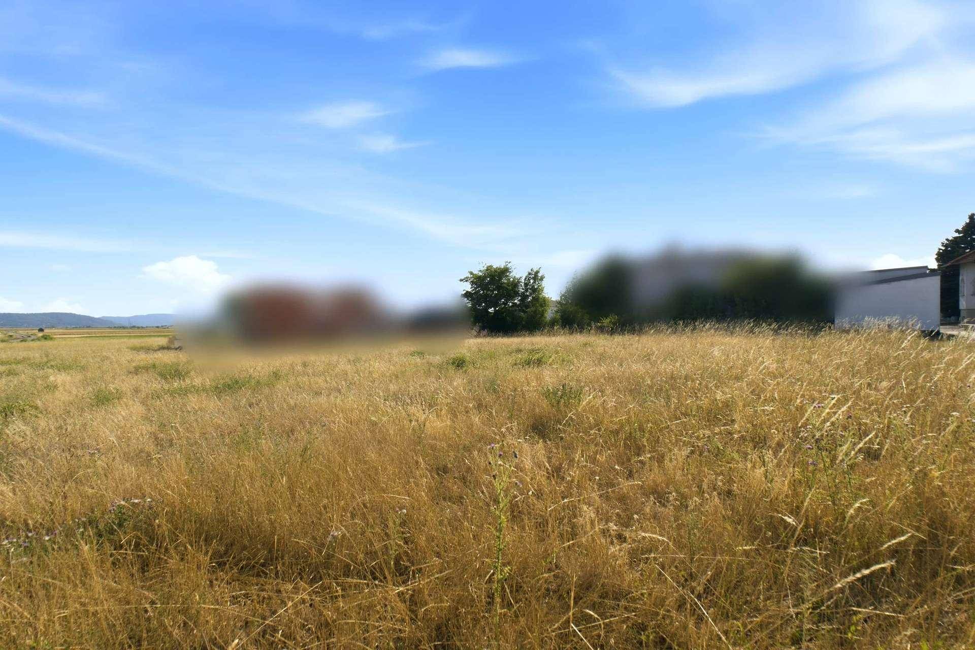 Weite Felder und Wiesen unter einem strahlend blauen Himmel, mit Gebäuden am Horizont.