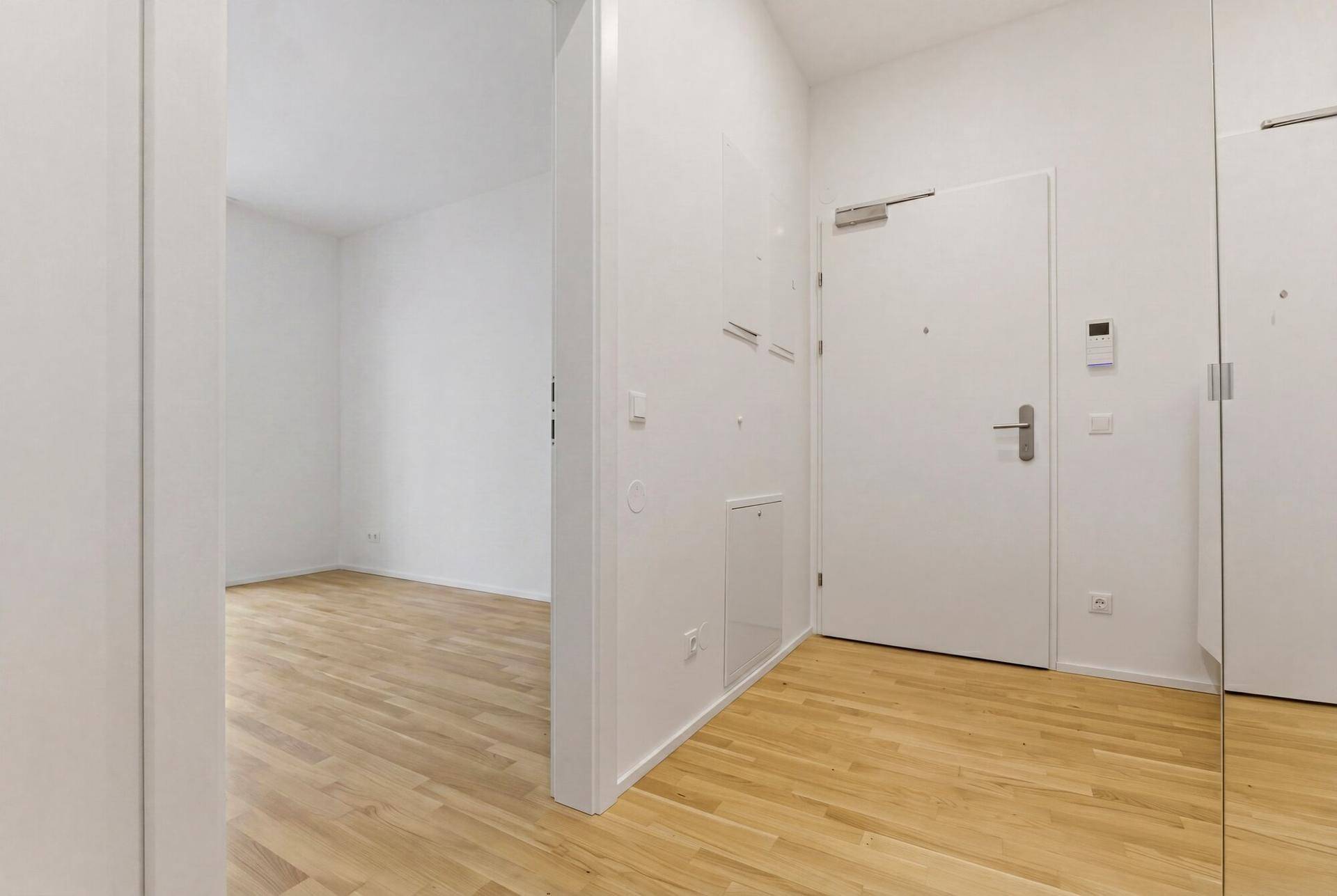 Heller Eingangsbereich mit Parkettboden und einer modernen Wohnungstür.