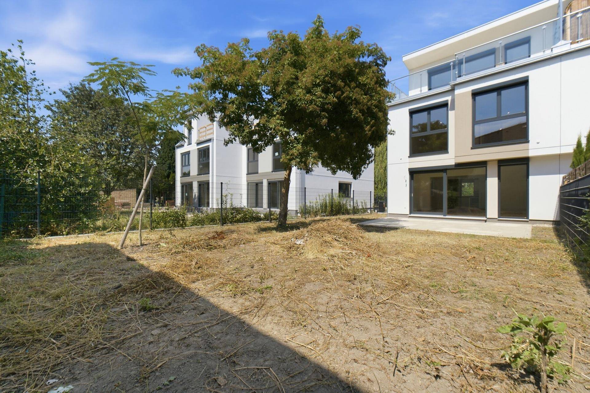 Gartenbereich mit Rasenfläche und jungen Bäumen vor modernen Gebäuden.