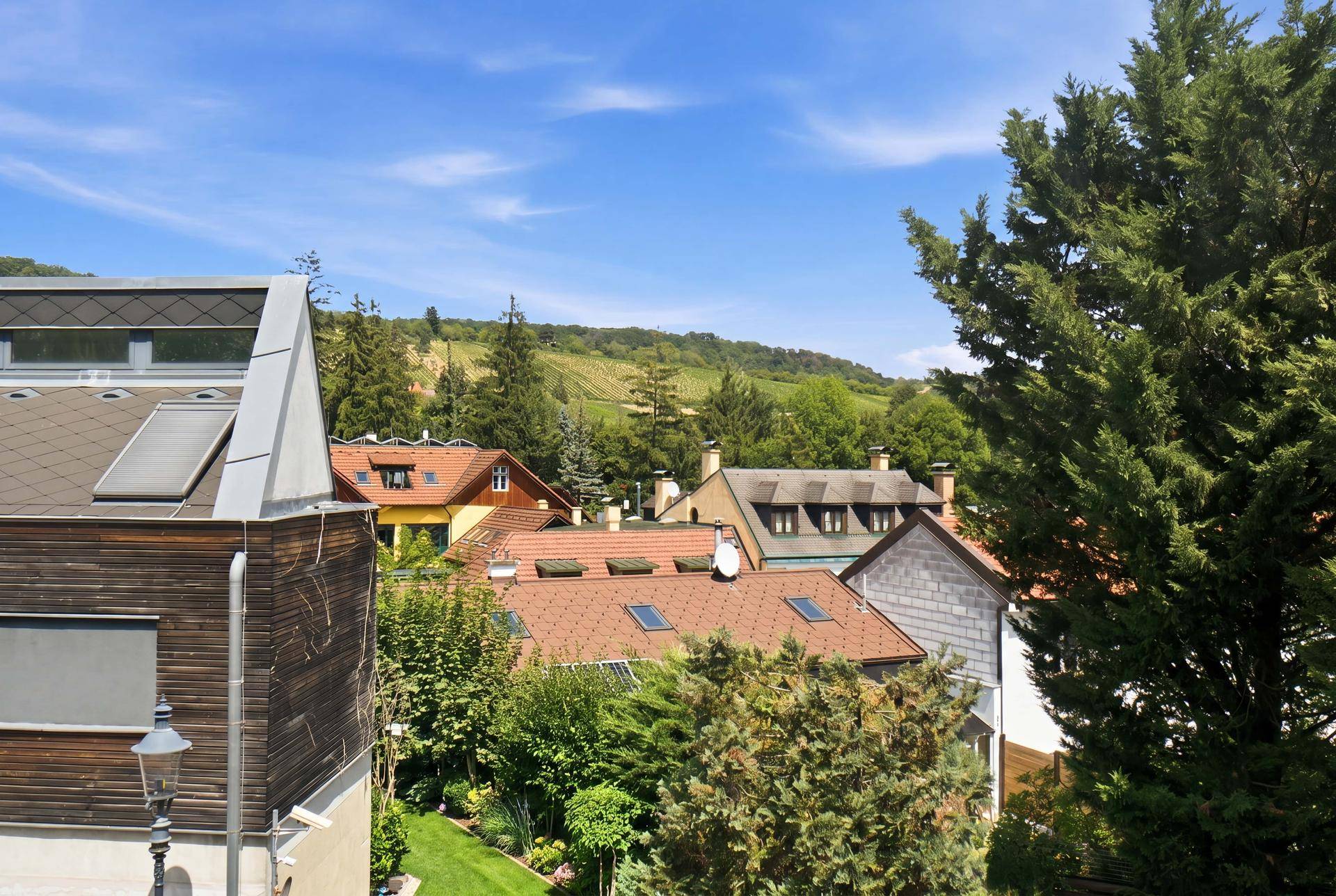 Panoramablick über Dächer und grüne Hügel bis zu einem Weinberg in der Ferne.