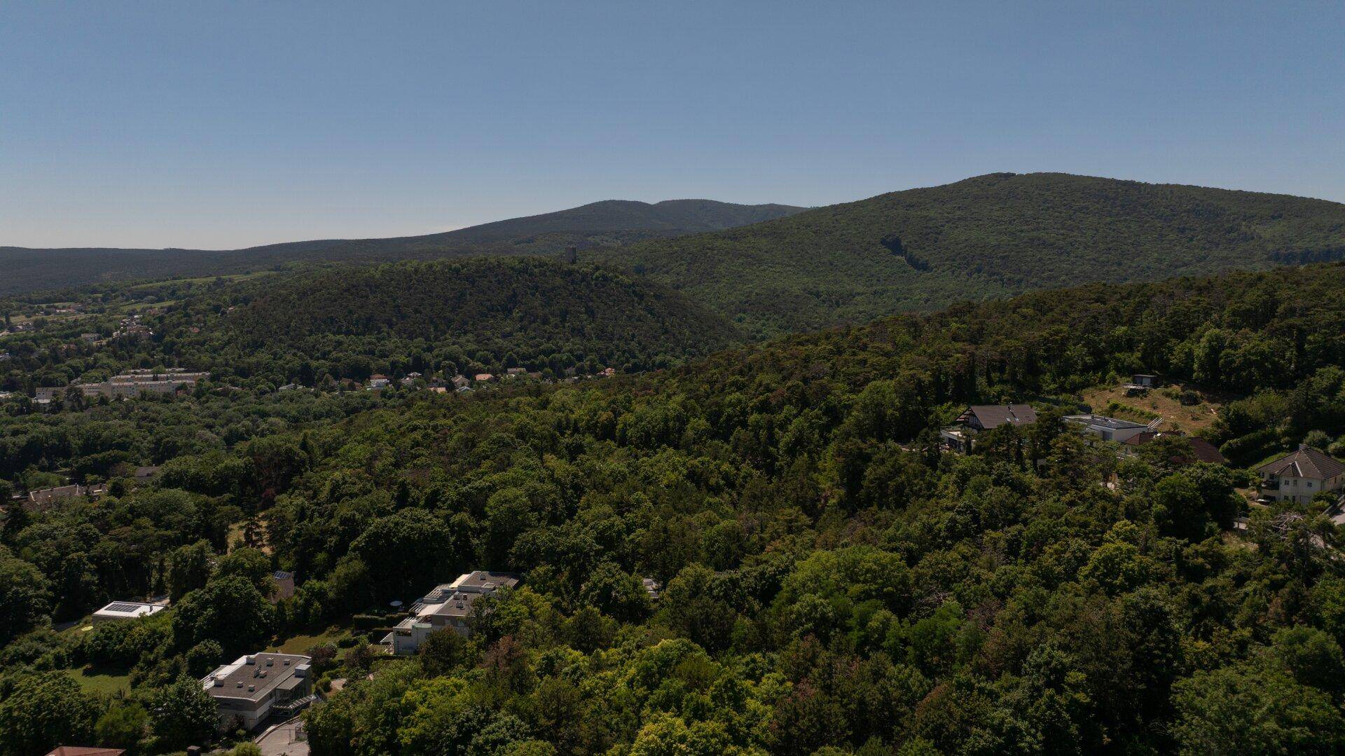 Panoramablick auf eine bewaldete Hügellandschaft mit vereinzelten Häusern unter klarem Himmel.
