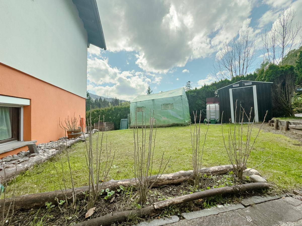 Großer Rasenbereich im Garten mit Gewächshaus und Schuppen, umgeben von Bäumen.