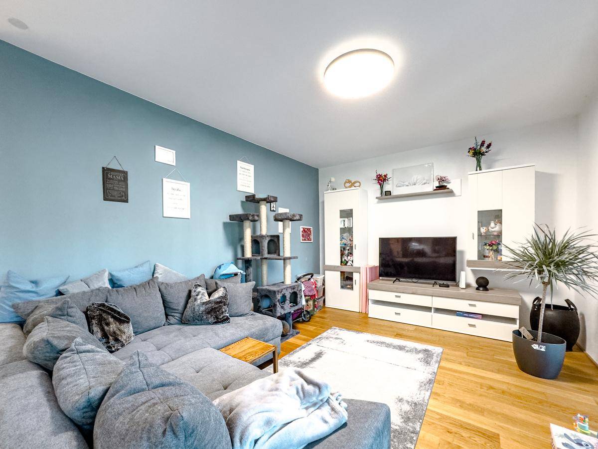 Gemütliches Wohnzimmer mit großem Ecksofa, Fernseher und blauer Wandgestaltung.