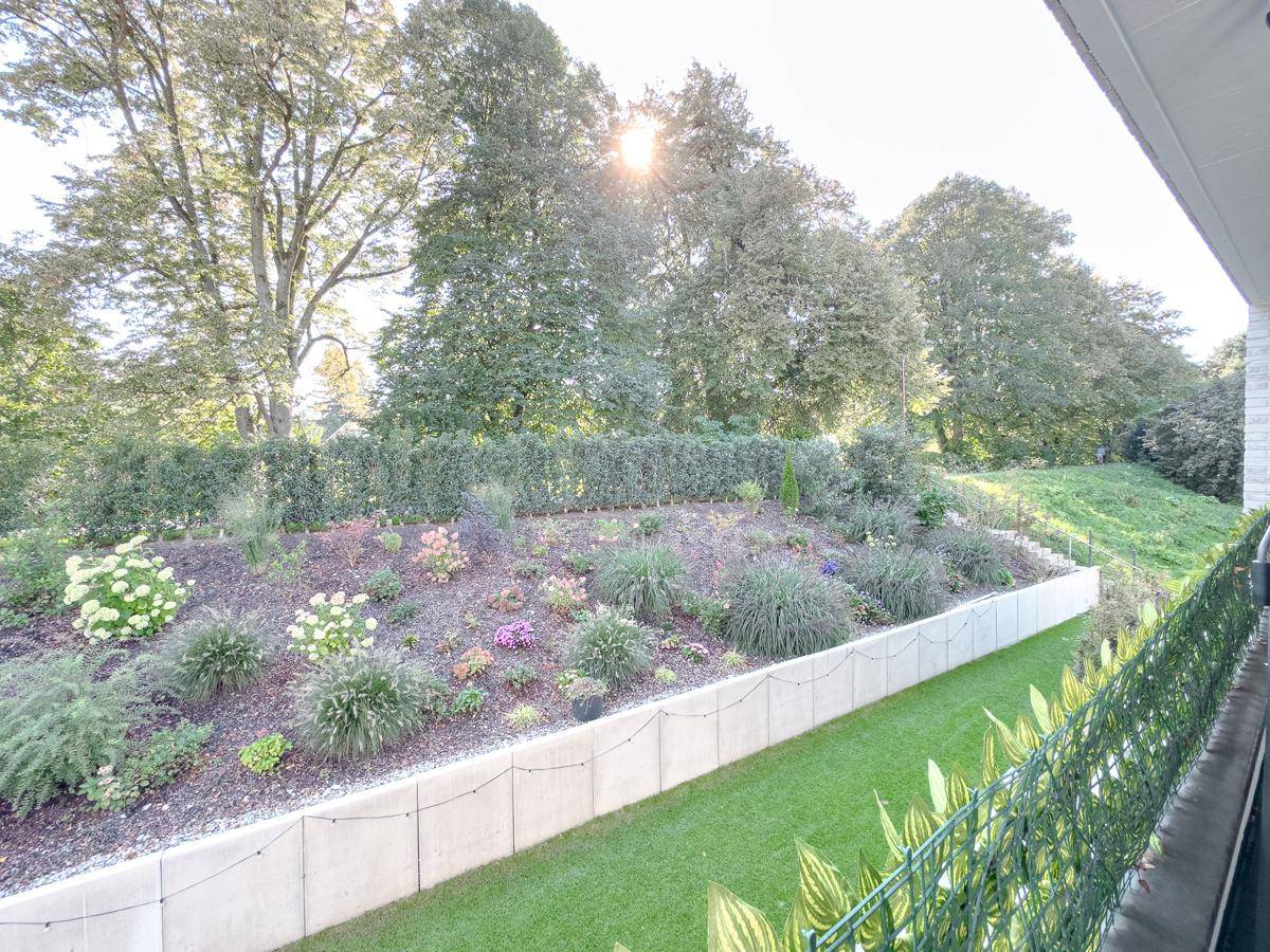 Gepflegter Gartenbereich mit verschiedenen Pflanzen und Sträuchern, umgeben von hohen Bäumen.