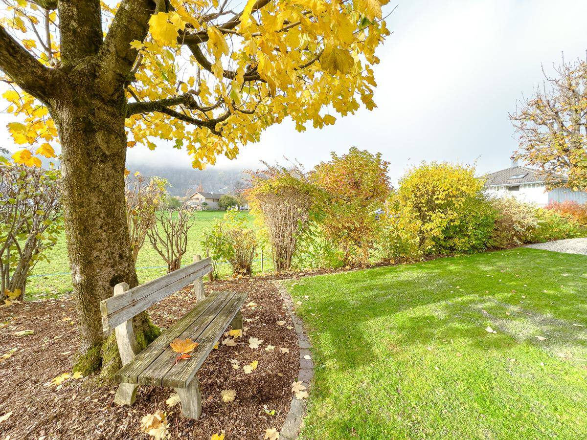 Idyllischer Gartenbereich mit alter Holzbank unter einem Baum und weitem Blick.