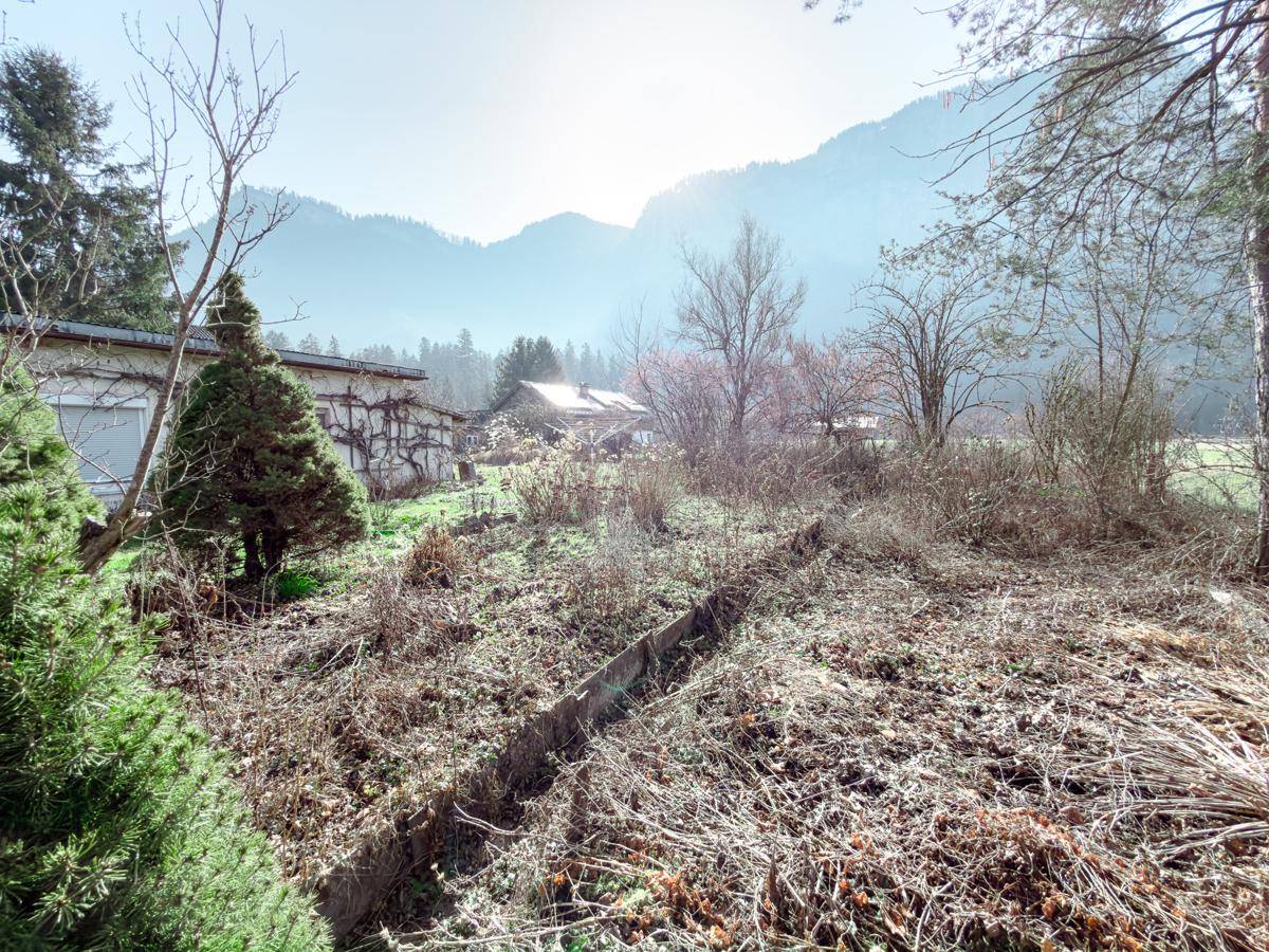 Überwucherte Grünfläche mit Blick auf die majestätische Berglandschaft im Hintergrund.