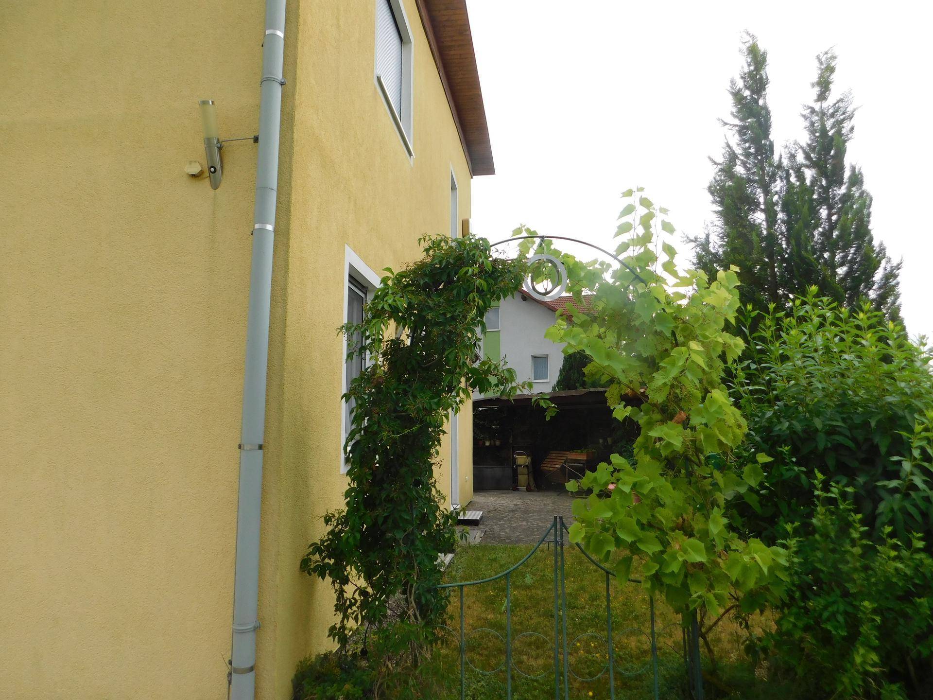 Seitliche Ansicht des gelben Hauses mit bewachsenem Torbogen und grünen Pflanzen im Gartenbereich.