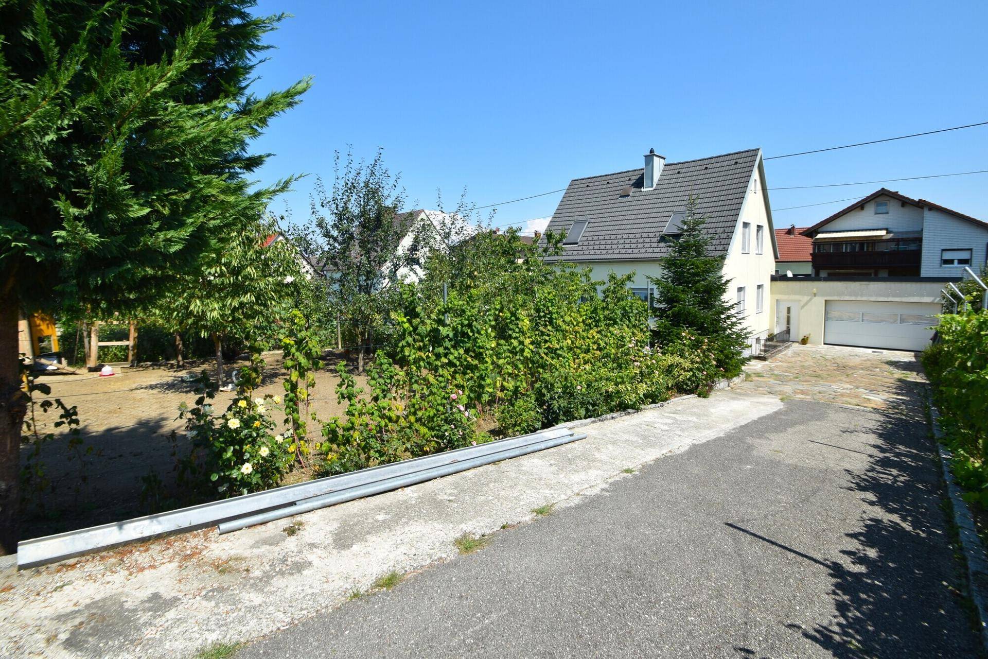 Gartenbereich neben dem Haus mit Bäumen, Sträuchern und Zufahrt zur Garage.