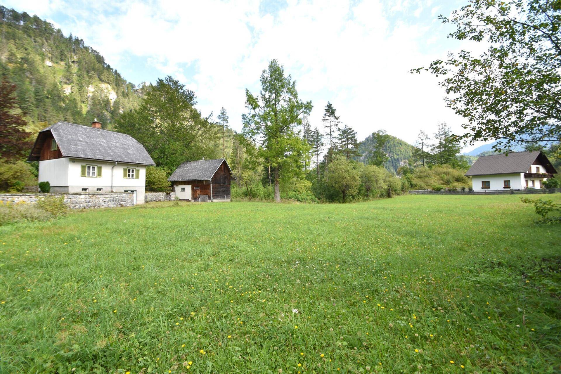 Ländliches Anwesen mit zwei Häusern und weitläufiger grüner Wiese vor bewaldeter Bergkulisse.