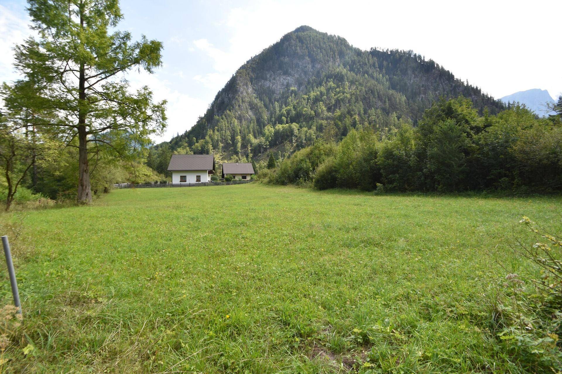 Weitläufige grüne Wiese mit Blick auf die umliegenden Berge und Wälder unter blauem Himmel.