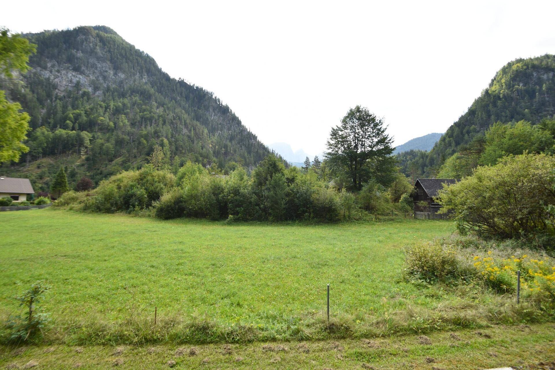 Malerische Landschaft mit weiten Wiesen, bewaldeten Hügeln und imposanten Bergen im Hintergrund.