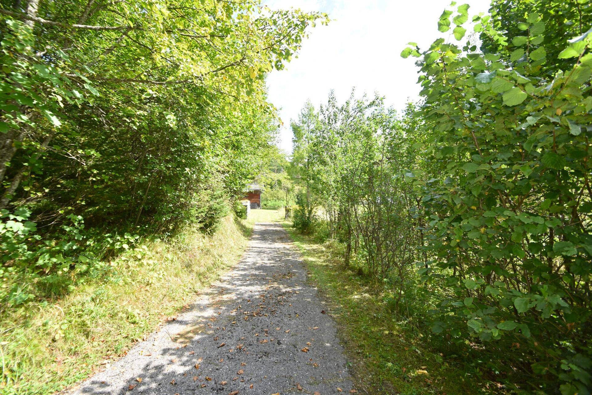 Schotterweg führt durch üppiges Grün und Bäume zu einem abgelegenen Gebäude.