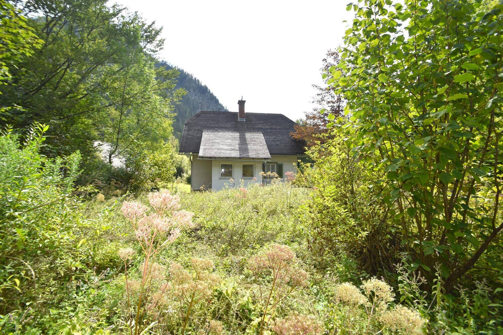 Hausansicht durch üppige Vegetation, umgeben von Bäumen und Sträuchern in natürlicher Umgebung.