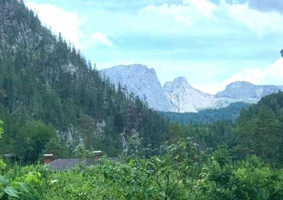 Panoramablick auf majestätische Berge und dichte Wälder unter einem weiten Himmel.