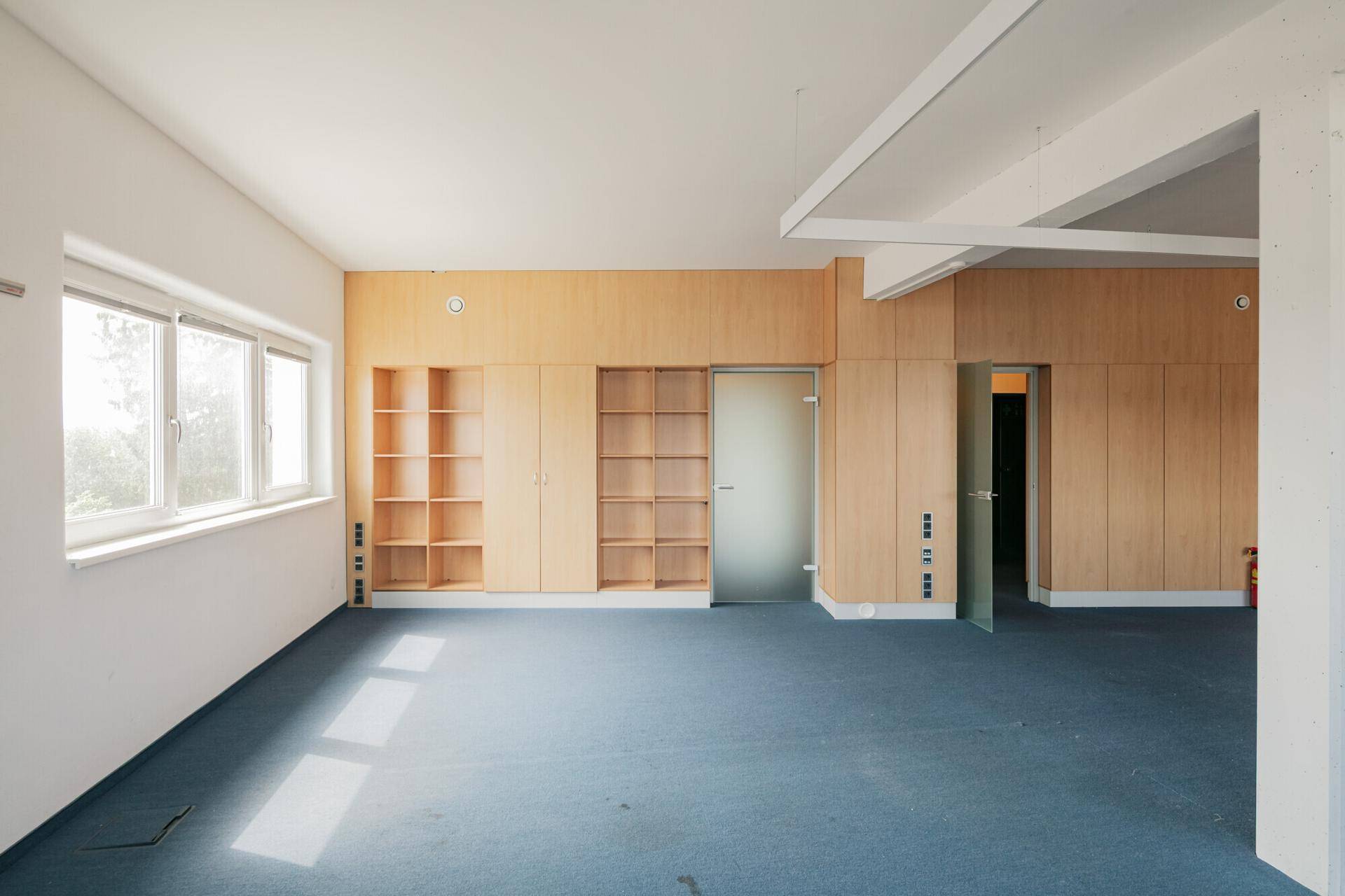 Büro mit blauem Teppichboden, Holzverkleidungen, integrierten Regalen und einer modernen Glastür.