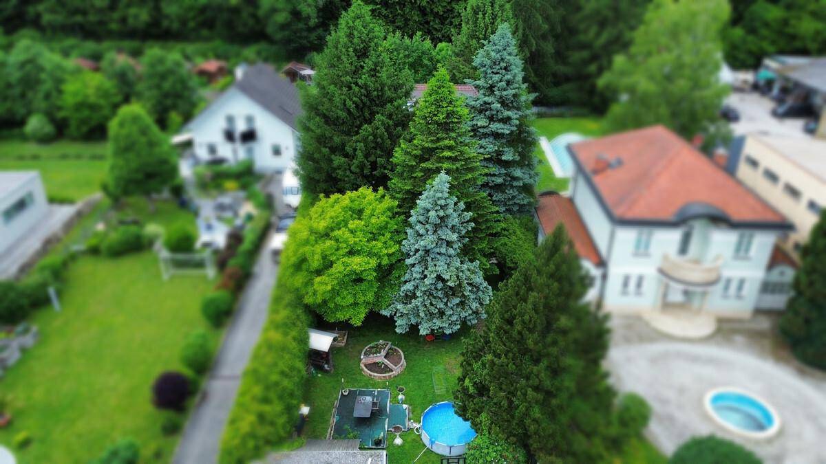 Luftaufnahme eines gepflegten Gartens mit Pool, großen Bäumen und viel Grünfläche.