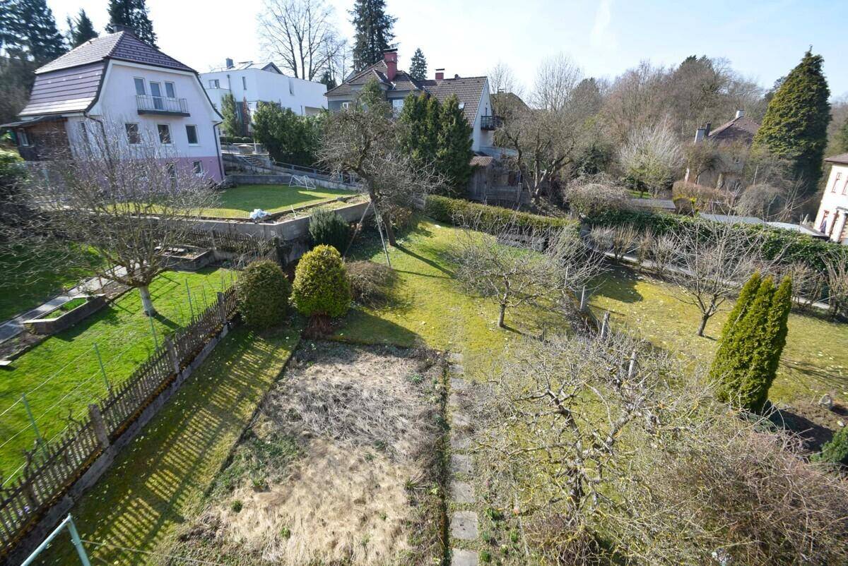 Weitläufiger Gartenbereich mit verschiedenen Pflanzen und Bäumen in sonniger Lage.