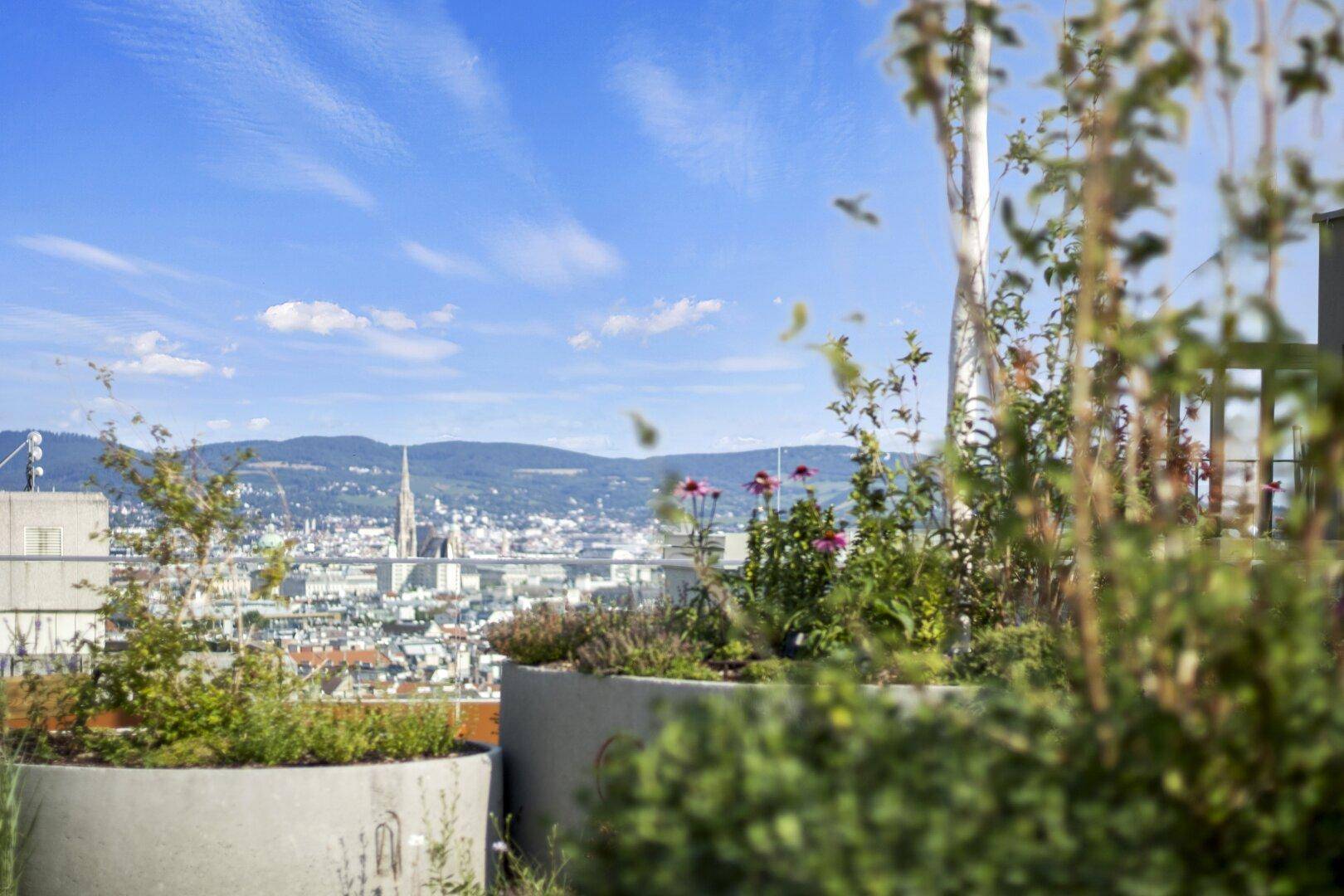 begrünter Sky Garden mit fantastischem Weitblick