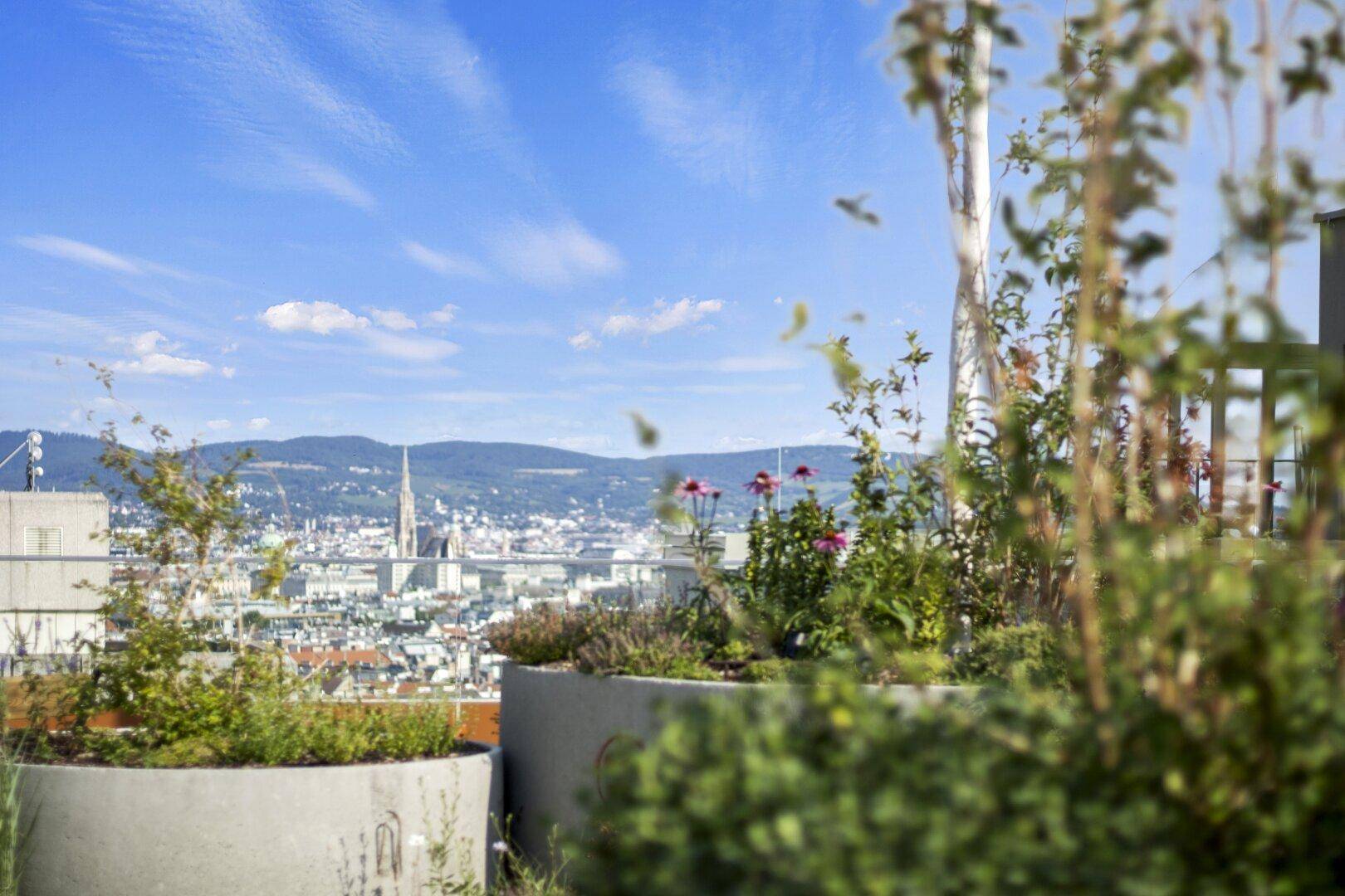 Grüne Dachterrasse mit Pflanzenbeeten und malerischem Blick über die Stadt.