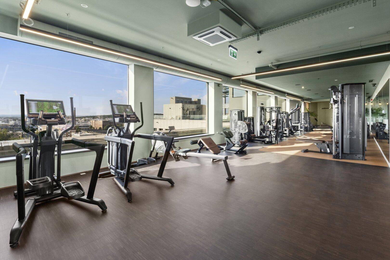 Geräumiges Fitnessstudio mit modernen Cardio- und Kraftgeräten, großen Fenstern und Blick auf die Umgebung.